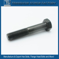 Teilweise mit Gewinde DIN931 Hex Bolt (M4-M48)